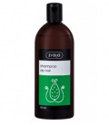 Ziaja Shampoo Aloe Vera For Dry Hair 500ml