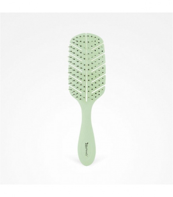 Bifull Brosse Biodégradable Vert Biofriendly