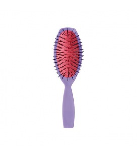 Bifull Brosse Ovale Couleurs Lilas