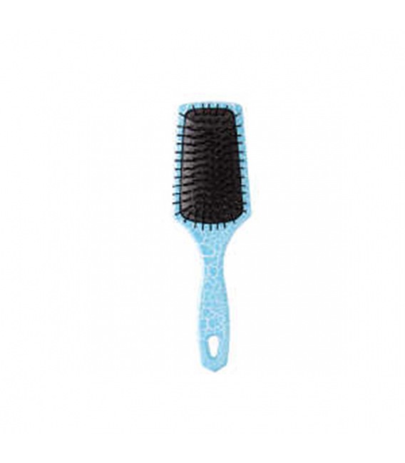 Bifull Brosse Raquette Mini Ricanement Bleu