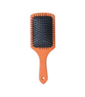 Bifull Brosse en Bois de la Raquette de Grande