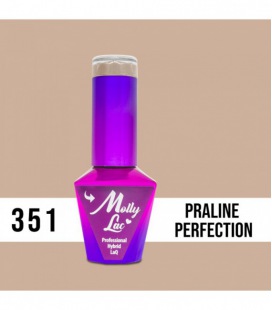 Molly Lac Semi-permanent enamel Praline Perfection 10 ml 351