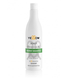 Alfaparf Yellow Scalp Energy Shampooing 500ml