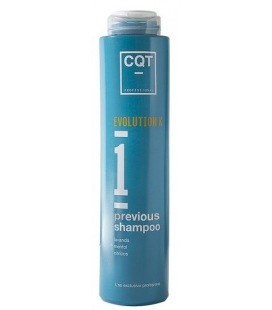 Previous Shampoo CQT 400 ml