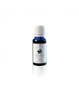 Massada Patchouli Essential Oil 15ml