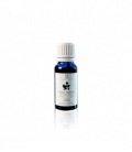 Massada Patchouli Essential Oil 15ml