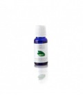 Massada Tea Tree Essential Oil 15ml