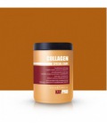 Kaypro Collagen Conditioner Capelli 1000ml