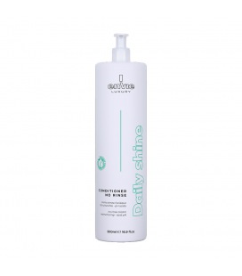 Envie Daily Shine Conditioner No rinse 500ml