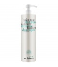 Artego Easy care T Balance Shampoo 1000