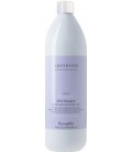 Farmavita Amethyste Cool Blonde Silver Shampoo 1000ml