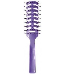 Bifull Brosse Squelette Violet