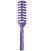 Bifull Spazzola Scheletro Purple