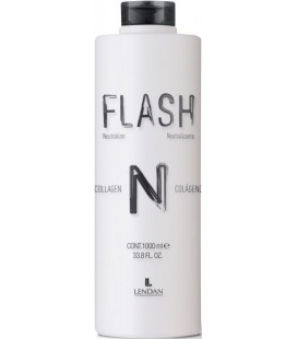 Lendan Flash Neutralizer 1000ml