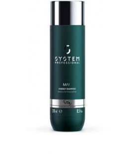 System Man Energy Shampooing 250 ml