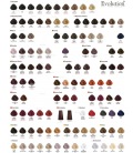 Alfaparf Evolution Of The Color dye
