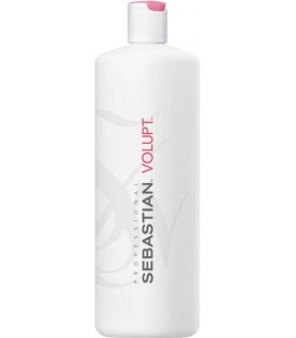 Conditioner Sebastian Volupt Volume