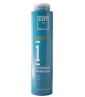 Vorherigen Shampoo CQT 400 ml