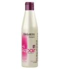 Salerm Hi Repair Shampoo 250 ml