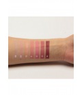 Pierre Rene Rouge Palette Match System Cake 6,5G