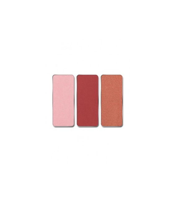 Pierre Rene Rouge Palette Match System Cake 6,5G