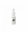 Massada Facial Essential Oily Skin Olive Extract 15ml