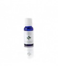 Massada Niauli Essential Oil 15ml