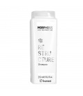Framesi Morphosis ReStructure Shampoo 250ml