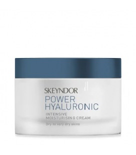 Skeyndor Power Hyaluronic Intensive Moisturizing Cream For Dry Skin