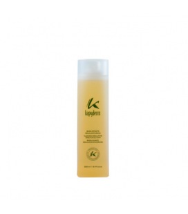 Kapyderm Champú Regulador Grasa 250ml