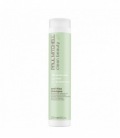 Paul Mitchell Clean Beauty Anti Frizz Shampoo 250 ml