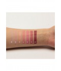 Pierre Rene Rouge Palette Match System Cake 6,5G