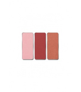 Pierre Rene Rouge Palette Match System Cake 6,5G