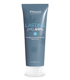 Proco Lasting Gel 250 ml