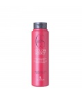 Lendan Color Addict Shampoo 300ml