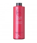 Lendan Color Addict Shampoo 1000ml