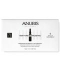 Anubis 7 Days Shock Treatment Night Pure Retinaldhyde 7x1.5ml
