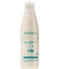 Salerm 21 Leave-In Conditioner 250ml