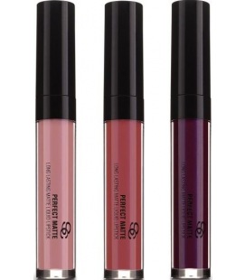 Salerm Labial Perfect Matte 5 ml