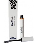 EvoBeaute Volumen Primer 6ml