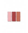 Pierre Rene Rouge Palette Match System Cake 6,5G