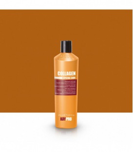 Kaypro Collagen Shampoo Cabelos Porosos E Fracos Maduros 350 ml