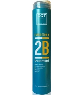 2B Treatment Evolution K CQT 400 ml