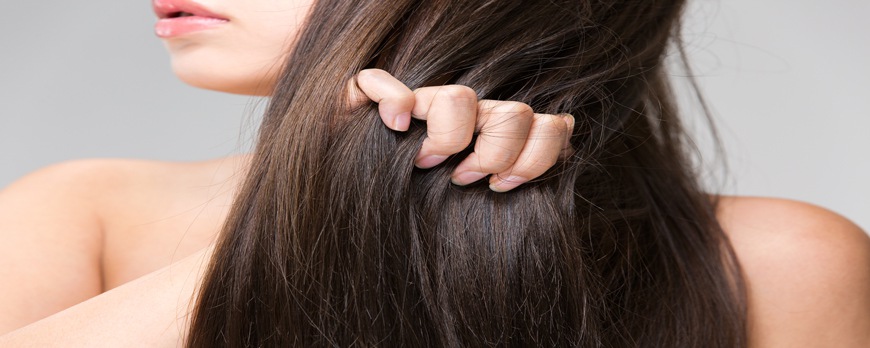 Identifica, trata y repara cabello seco